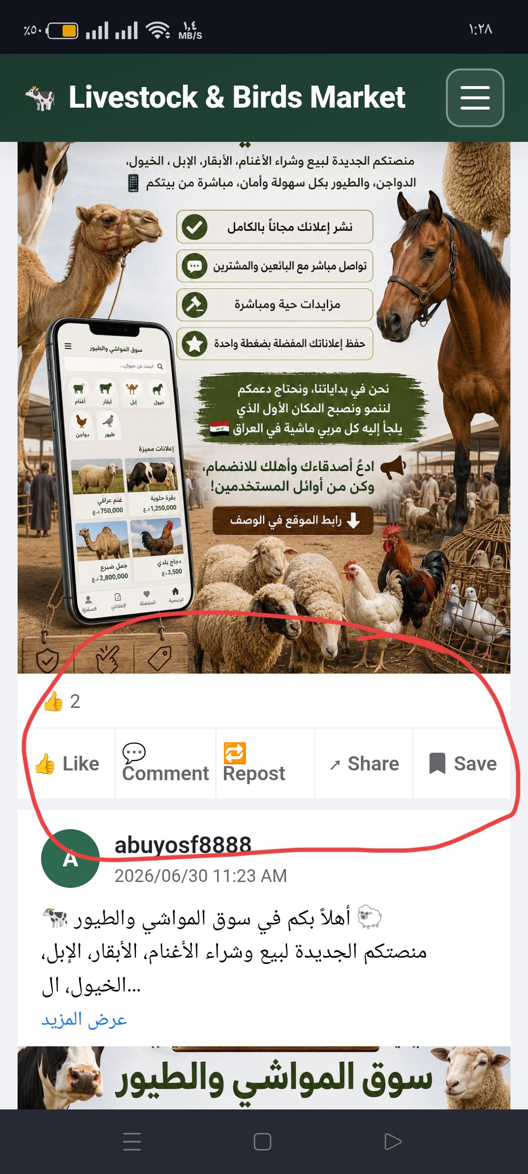 نص العنوان — صورة 1